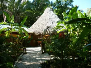 Hotel El Pequeño Gecko Verde - Reception