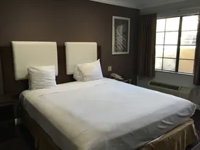 Hotel Pacific Manhattan Beach  - Chambre