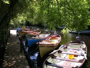 Camillaun Lodge with Lough Corrib Boat Hire - Restaurant