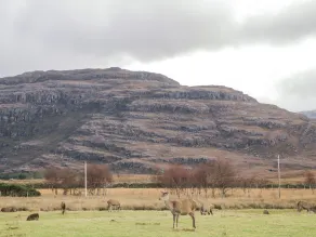 Stalker's Cottage - Torridon - Interni