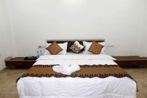 Payal Palace - Chambre