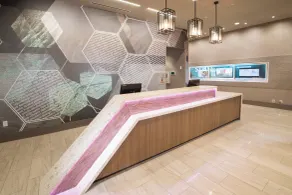 SpringHill Suites by Marriott Fayetteville Fort Bragg - Réception