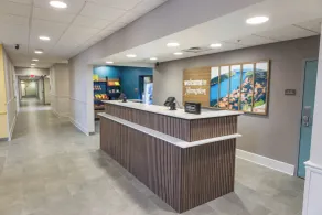 Hampton Inn & Suites Austin - Lakeway - Réception