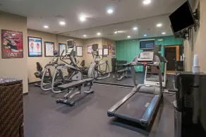 Holiday Inn Express Hotel & Suites Houston North Intercontinental by IHG - Fitness facility
