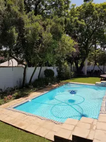 Maison Jacaranda - Pool