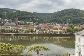 Boutique Hotel Heidelberg Suites  - Vue de la chambre
