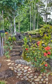 Hilltop Legacy Vacation Rental - Vue de la chambre