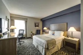 Monte Carlo Inn Oakville Suites - Chambre
