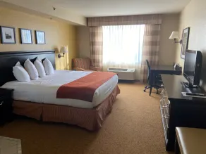 Country Inn & Suites by Radisson, Dundee, MI - Chambre