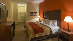 Comfort Inn & Suites Villa Rica - Chambre