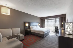 Holiday Inn Austin Midtown by IHG - Rom