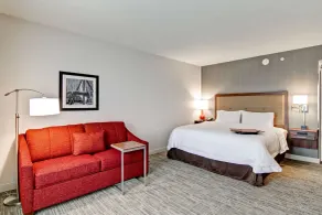 Hampton Inn & Suites Detroit/Troy - Rum