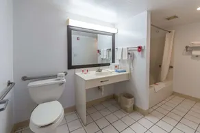 Econo Lodge Ruther Glen - Salle de bain