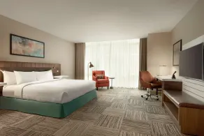 Hilton Garden Inn Chicago Downtown South Loop - Room