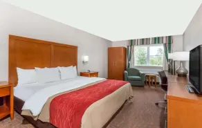 Days Inn by Wyndham Williamsburg Historic Area - Chambre