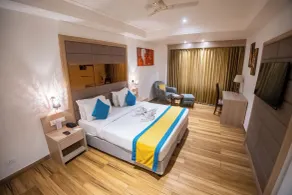 Arcadia Hotel - Room
