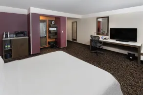 Hilton Garden Inn Montreal Centre-ville - Chambre