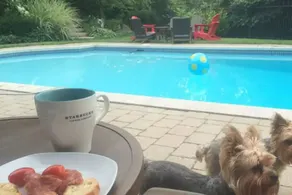 Caledon Manor and Country Inn - Pool