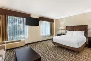 Best Western Plus Valdosta Hotel & Suites - Chambre