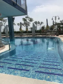 Hotel Napoleon - Pool