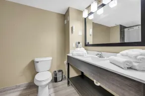 Quality Inn Roseville-Detroit North - Baño