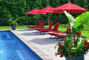 The Homestead B&B - Piscina