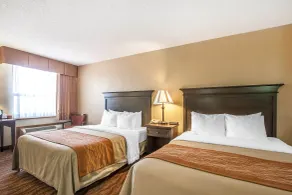 Comfort Inn at Thousand Hills - Chambre