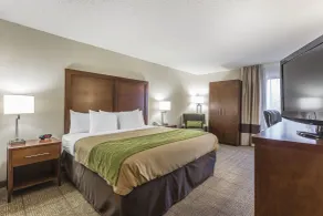 Quality Inn Summerville - Charleston - Chambre