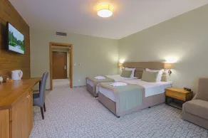 Spa Hotel Orbita - Habitación