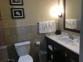 Comfort Suites Fishkill near Interstate 84 - Salle de bain