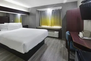 Microtel Inn & Suites by Wyndham Meridian - Chambre