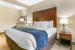 Comfort Suites Batesville - Zimmer