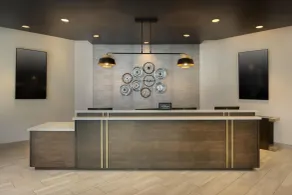 Embassy Suites by Hilton Charlotte Concord Golf Resort & Spa - Rezeption
