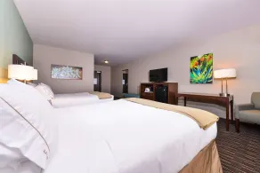 Holiday Inn Express & Suites Indio - Coachella Valley by IHG - Chambre
