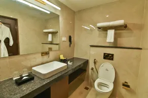Accord Chrome - Bathroom