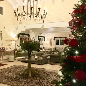 Ktima Noosfera Wellness & Retreat Center - Resepsjon