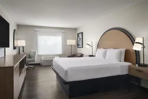 Best Western Auburndale Inn & Suites - Room