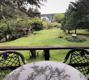 Driftwood Village - View from room