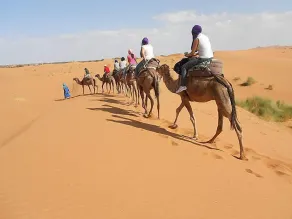 Merzouga Camp and Hostel - View from room