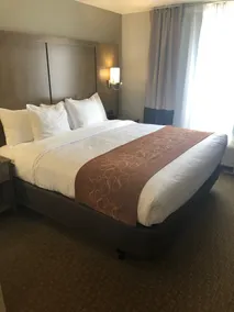 Comfort Suites Columbia I-65 - Chambre