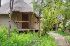 Warthogs Bush Lodge - Room
