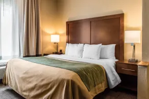 Comfort Inn Lancaster County - Rom