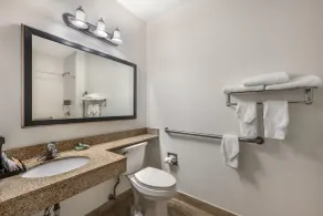 Best Western Des Plaines O'Hare - Baño