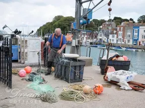 Harbour Edge - Basseng