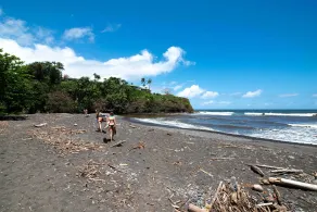 Hilo Apartment: Ocean Views on the Hamakua Coast! - Interiør