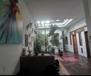 Parrot House San Antonio - Réception