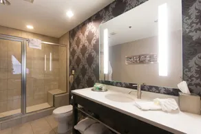 The Giacomo Niagara Falls NY, an Ascend Collection Hotel - Bathroom