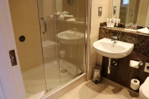 The Rose Hotel - Room