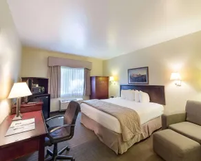 Quality Inn & Suites Kerrville - Chambre