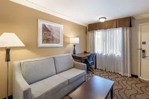 Best Western Plus Orchid Hotel & Suites - Vue de la chambre